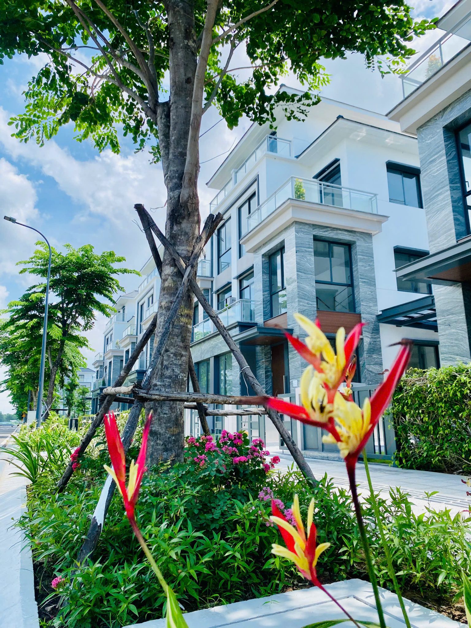 z6782468300052 c3d12701b7c443f8698ee8736c751e77 1536x2048.jpg